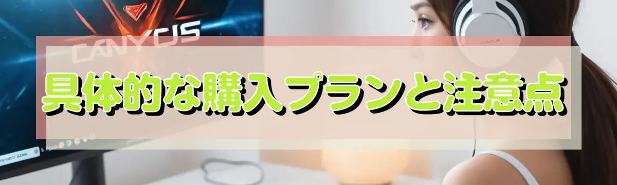 具体的な購入プランと注意点